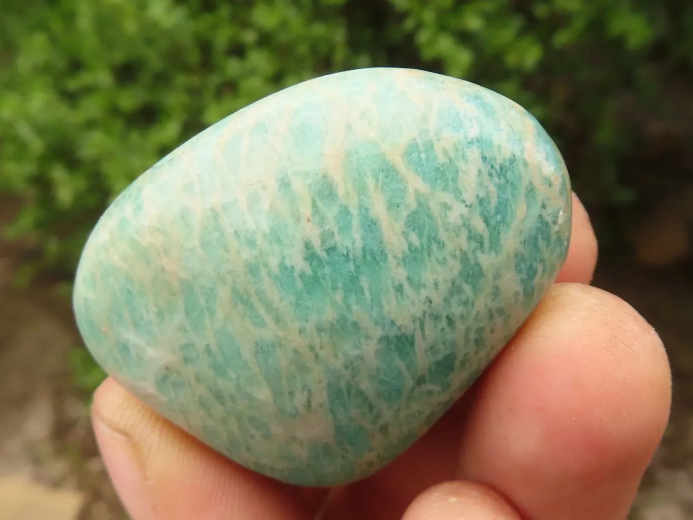 Polished Amazonite Free Forms x 13 From Zimbabwe