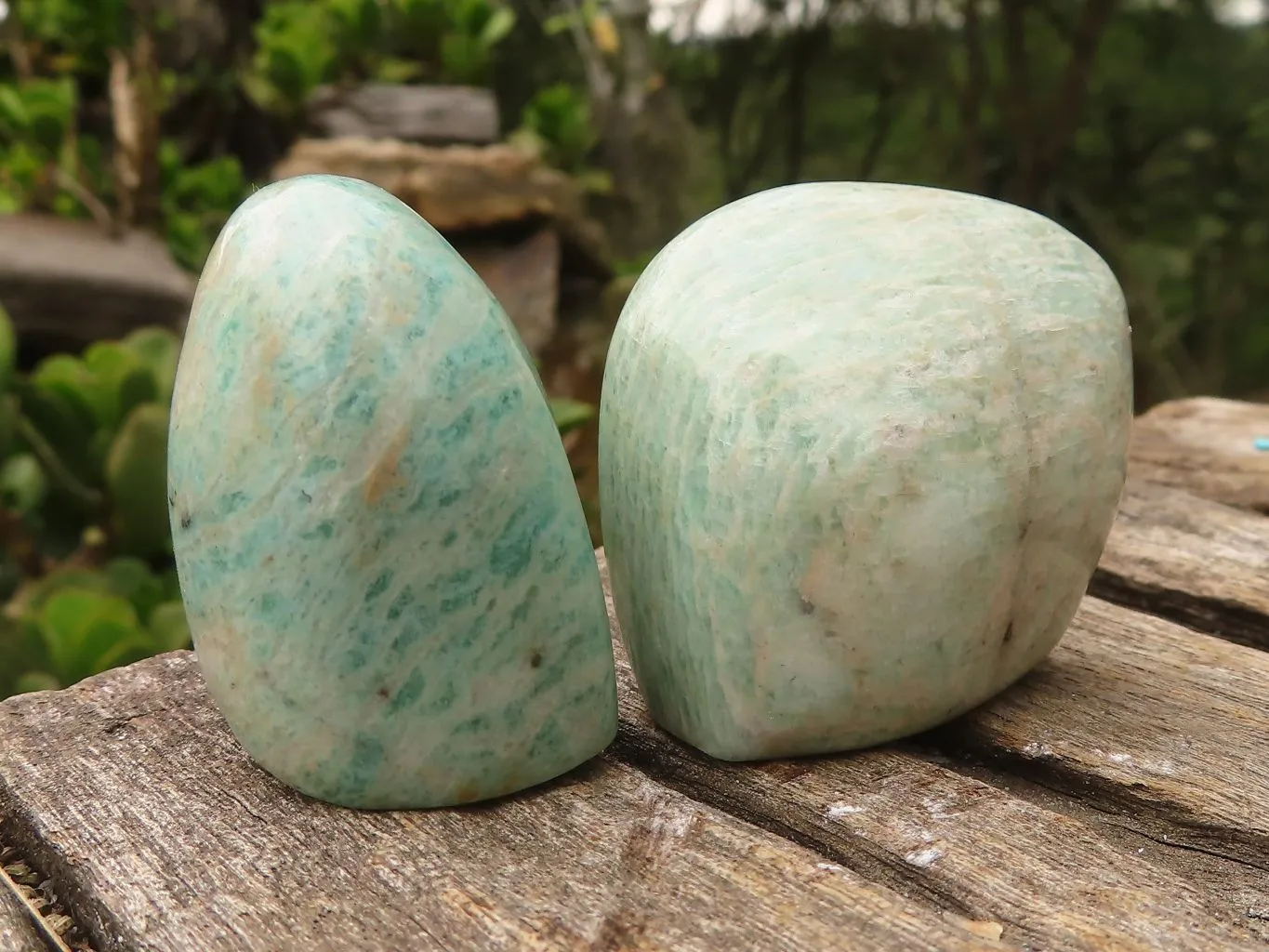 Polished Amazonite Free Forms x 13 From Zimbabwe