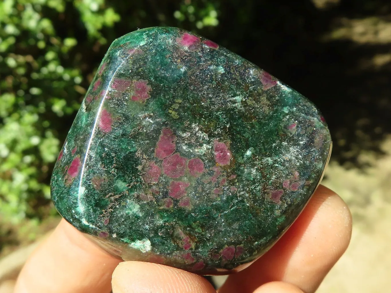 Polished Fluorescent Ruby Corundum In Chrome Verdite Free Forms x 12 From Zimbabwe